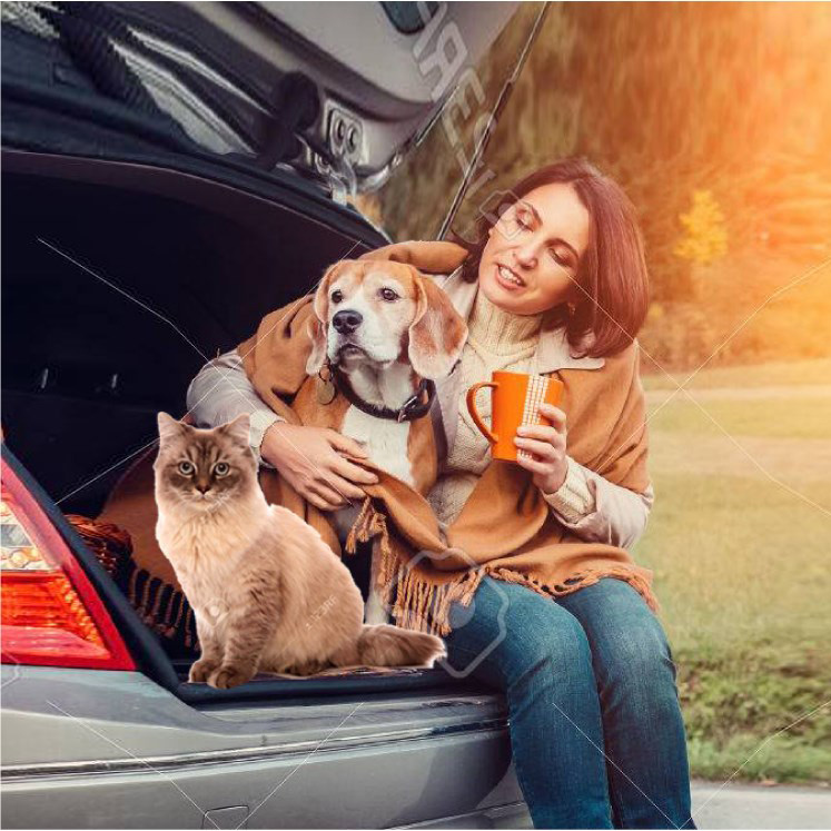 Pet Travel Assurance